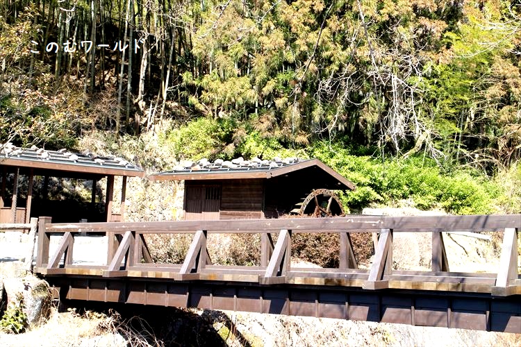 中津川市 ぎふまるけ